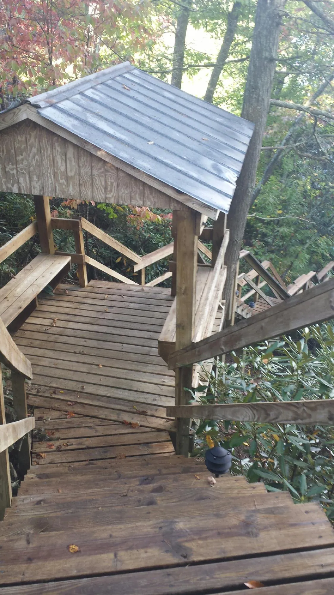 Metal roofed shelter over wooden steps on a wooded walkway in Nelsonville